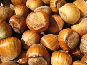 Hazelnuts_02