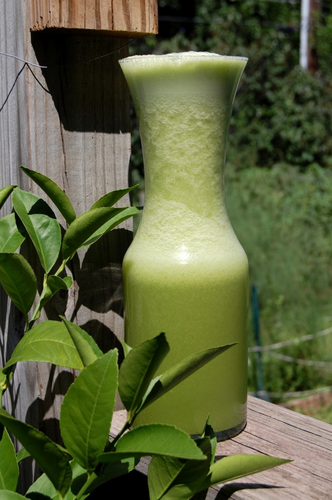 Cucumber Lemonade Pitcher