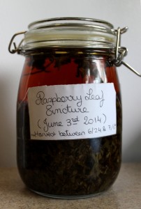 Rasp-Leaf-Tincture-Jar