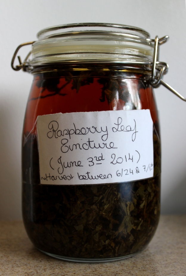 The Benefits of Raspberry Leaf Tincture & My Raspberry Leaf Tincture
