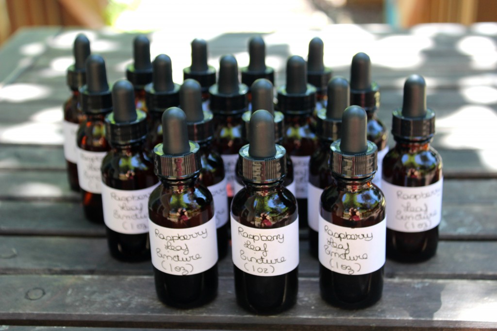 The Benefits of Raspberry Leaf Tincture & My Raspberry Leaf Tincture
