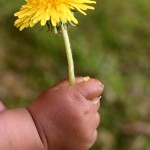 High Needs Babies – My Experience Raising a High Needs Toddler (10-18 months)